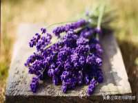 哈尔滨帮帮团广告传播有限公司