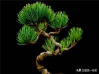 哈尔滨帮帮团广告传播有限公司