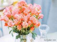 哈尔滨帮帮团广告传播有限公司