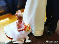 哈尔滨帮帮团广告传播有限公司