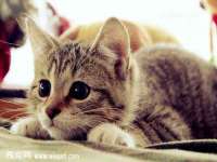 哈尔滨帮帮团广告传播有限公司